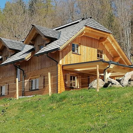 Sankt Peter am Kammersberg Laerchenhaus ,,Unterer Brodl" 빌라 외부 사진