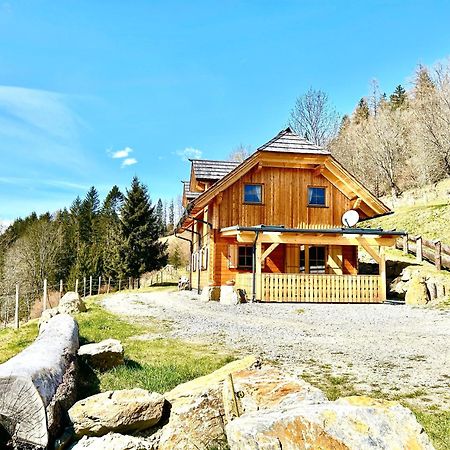 Sankt Peter am Kammersberg Laerchenhaus ,,Unterer Brodl" 빌라 외부 사진