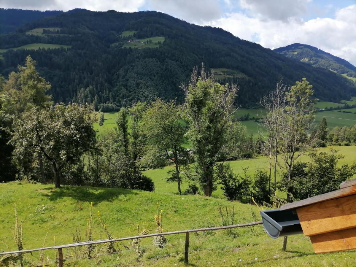 Sankt Peter am Kammersberg Laerchenhaus ,,Unterer Brodl" 빌라 외부 사진