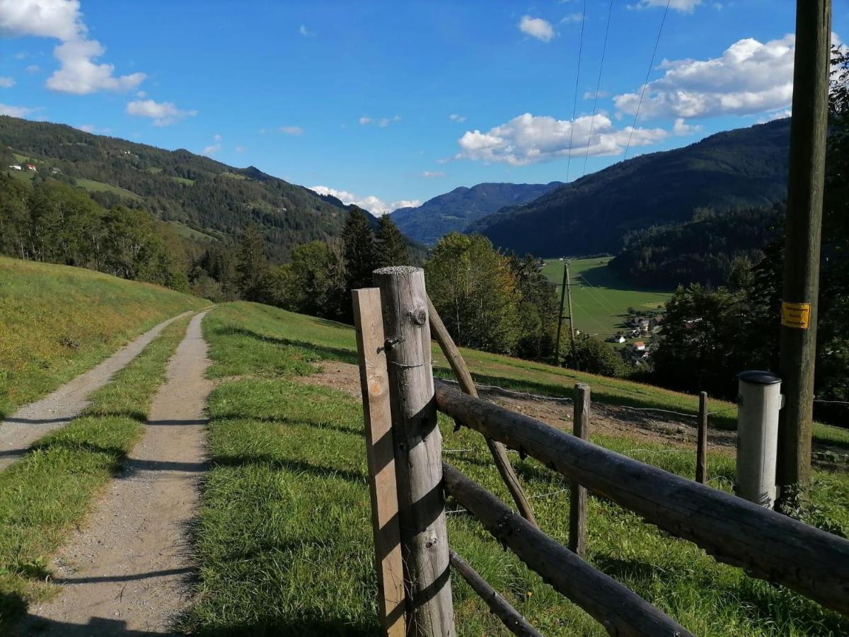Sankt Peter am Kammersberg Laerchenhaus ,,Unterer Brodl" 빌라 외부 사진