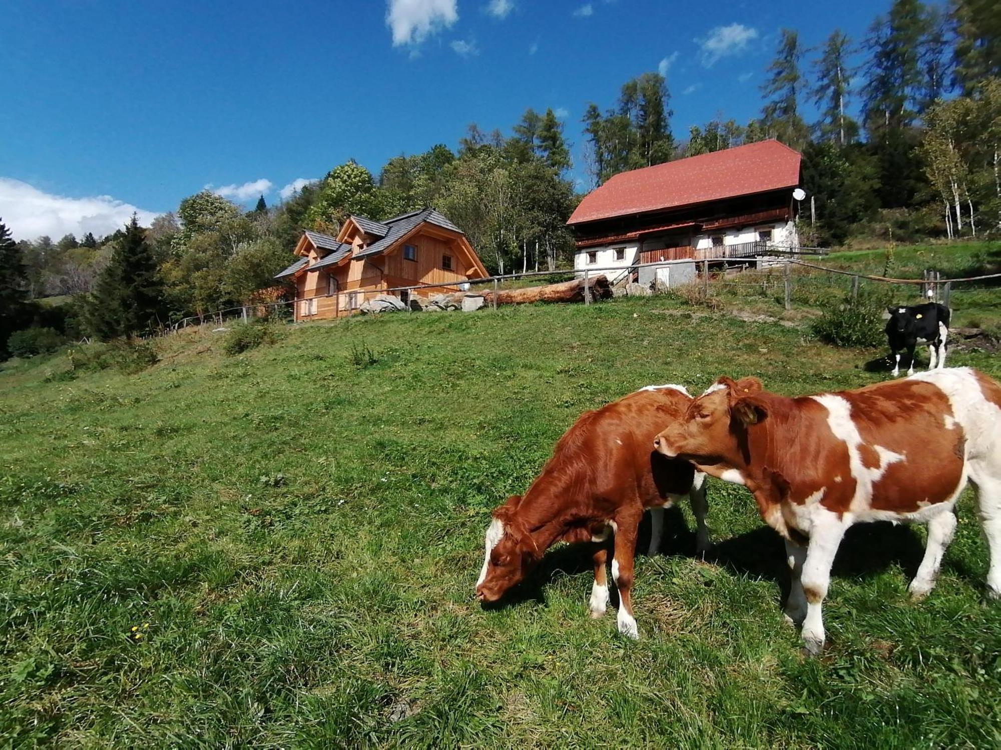 Sankt Peter am Kammersberg Laerchenhaus ,,Unterer Brodl" 빌라 외부 사진