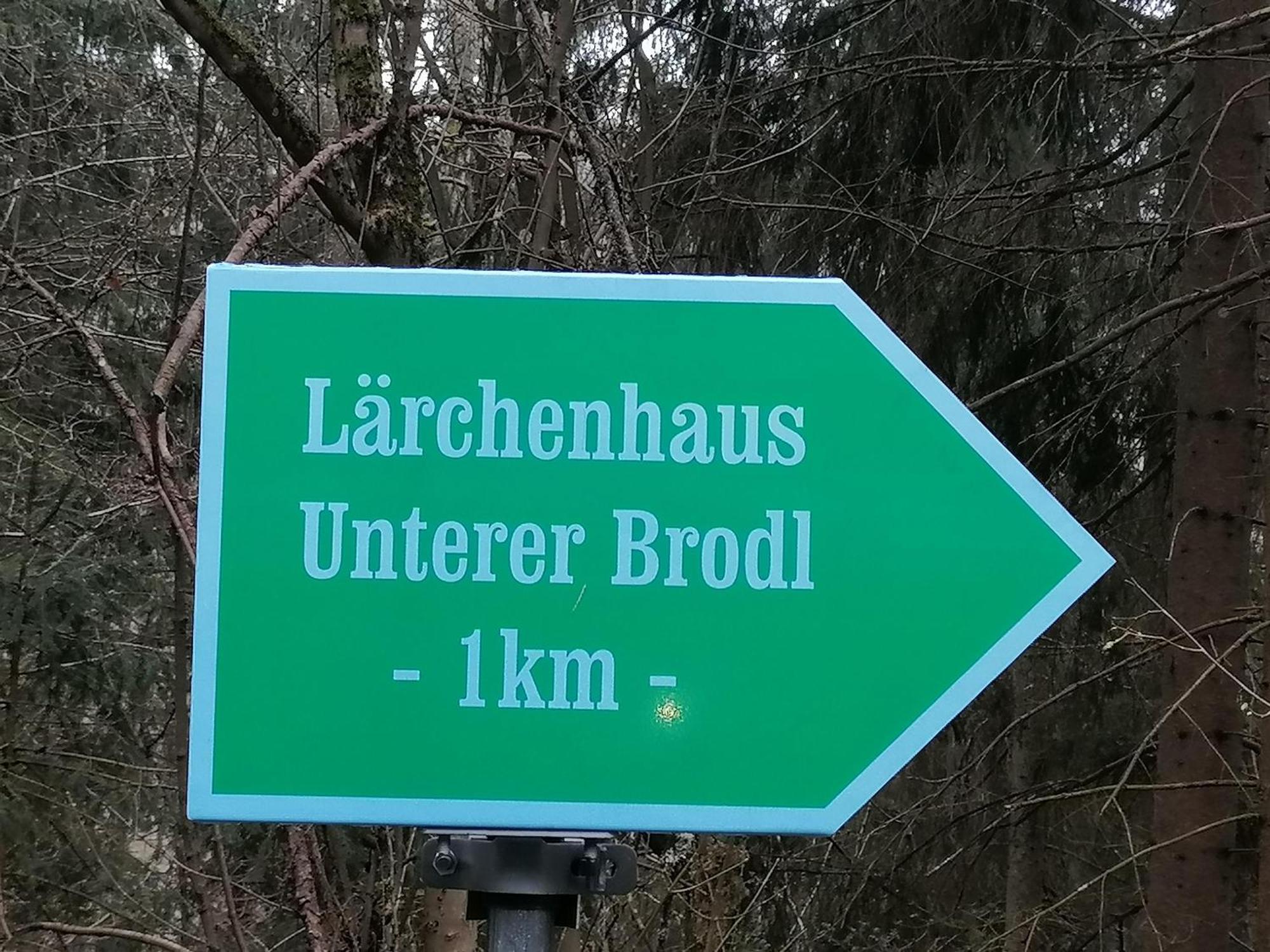 Sankt Peter am Kammersberg Laerchenhaus ,,Unterer Brodl" 빌라 외부 사진
