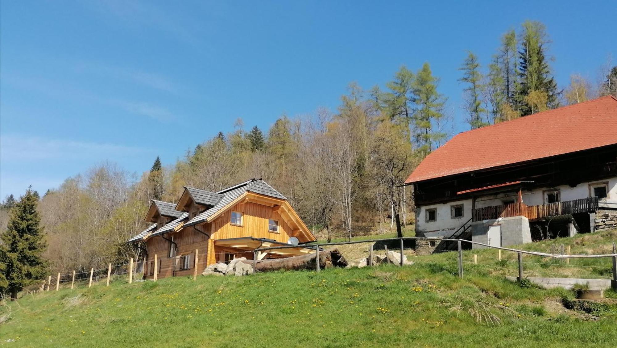 Sankt Peter am Kammersberg Laerchenhaus ,,Unterer Brodl" 빌라 외부 사진
