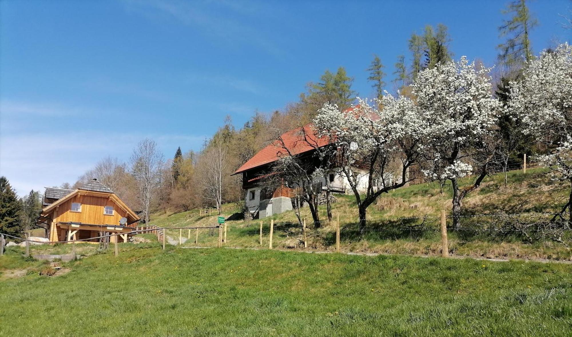 Sankt Peter am Kammersberg Laerchenhaus ,,Unterer Brodl" 빌라 외부 사진