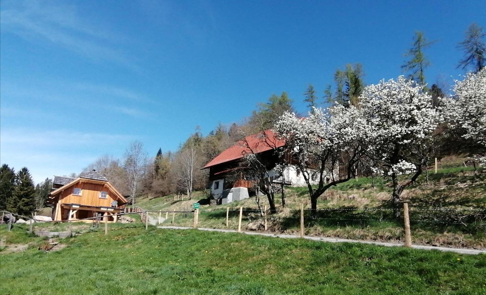 Sankt Peter am Kammersberg Laerchenhaus ,,Unterer Brodl" 빌라 외부 사진