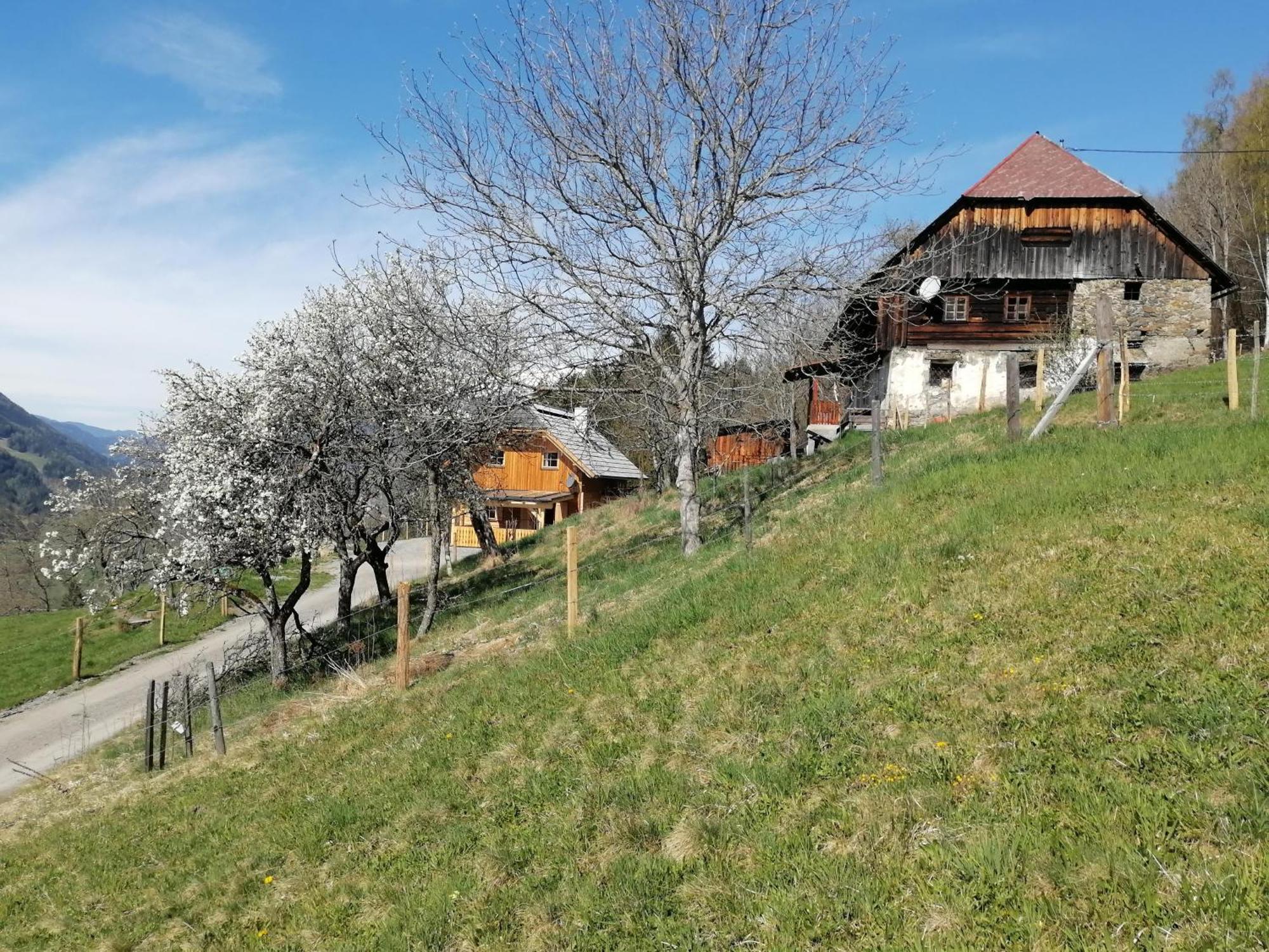 Sankt Peter am Kammersberg Laerchenhaus ,,Unterer Brodl" 빌라 외부 사진