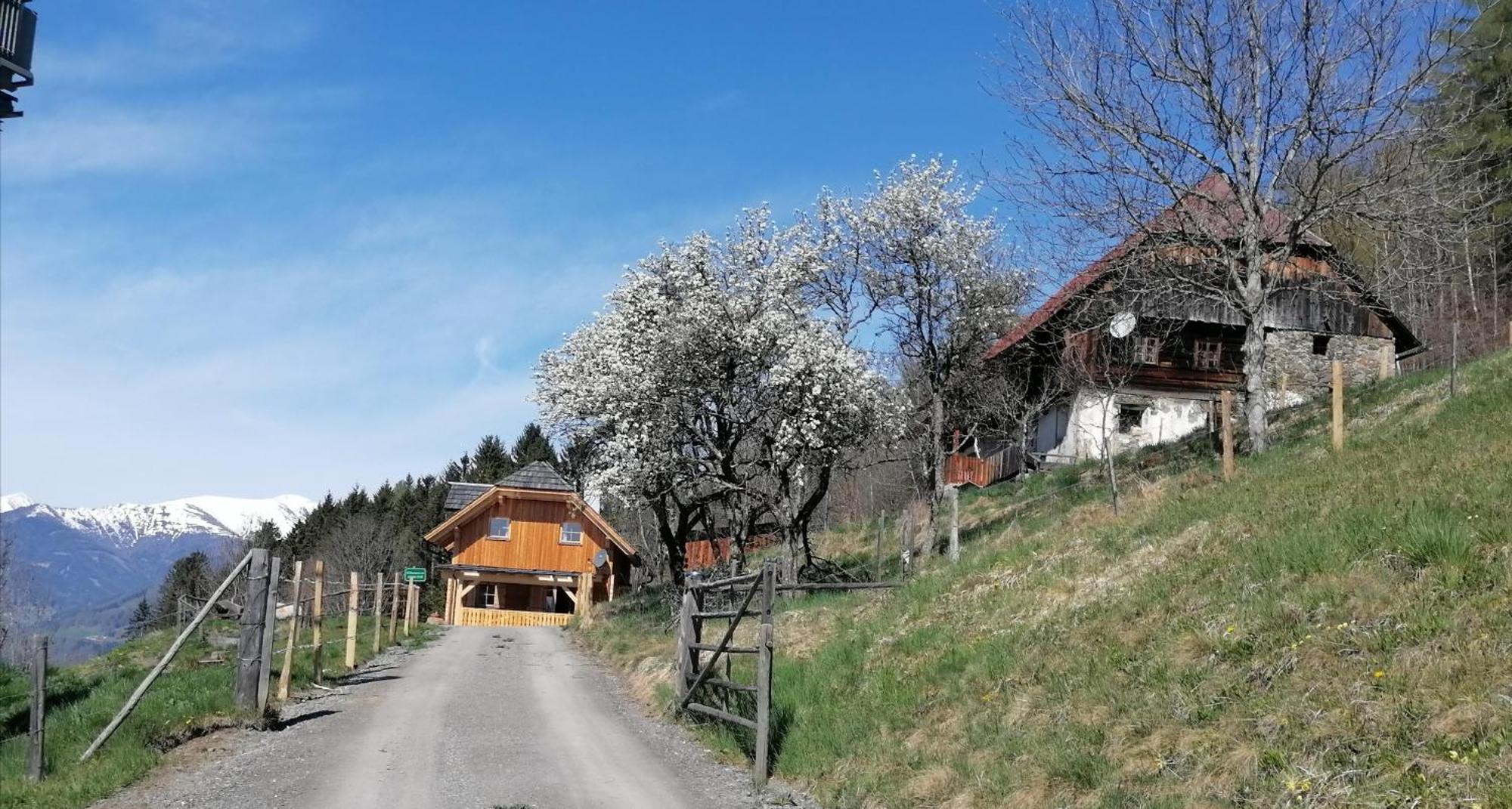 Sankt Peter am Kammersberg Laerchenhaus ,,Unterer Brodl" 빌라 외부 사진