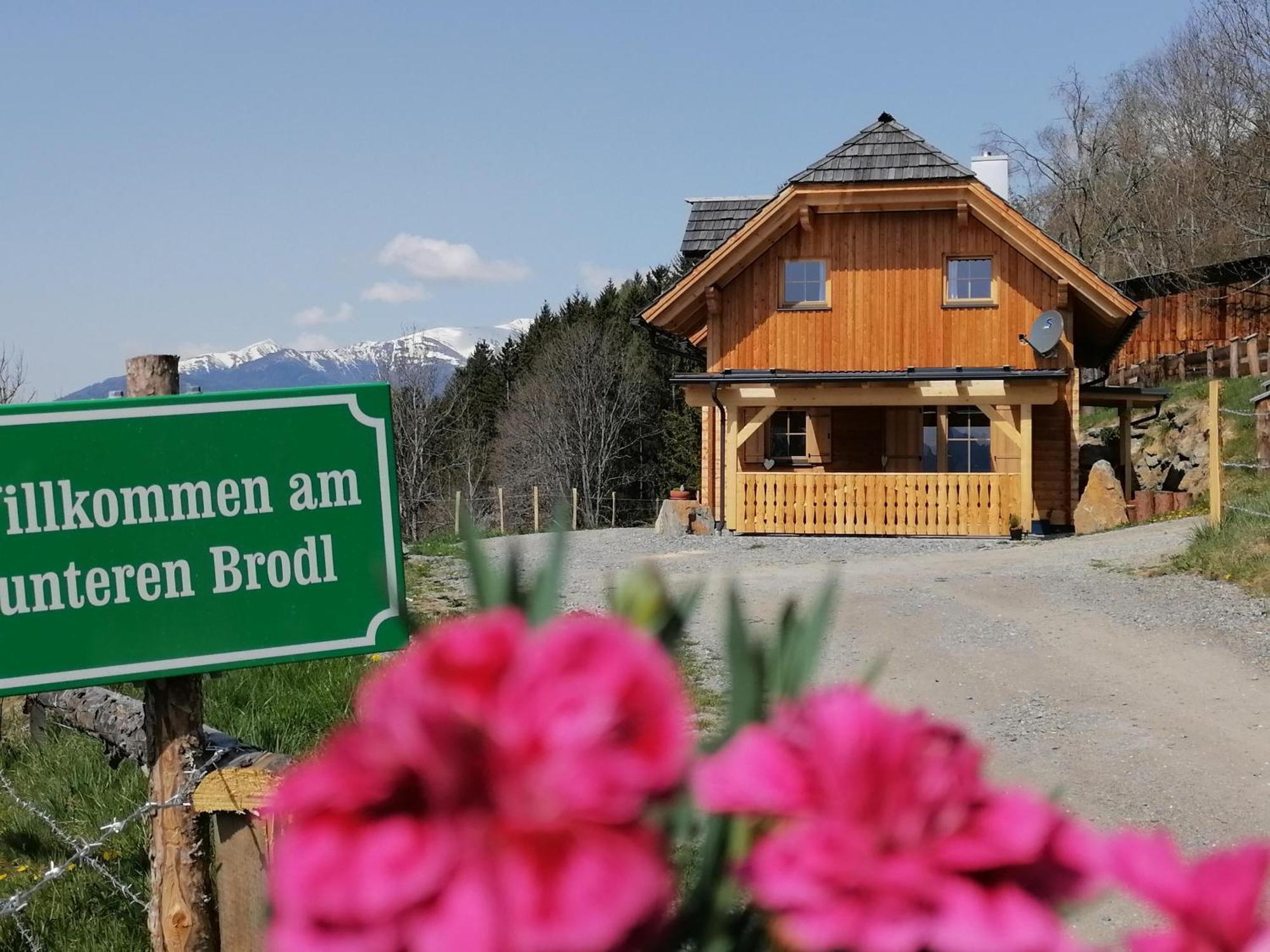 Sankt Peter am Kammersberg Laerchenhaus ,,Unterer Brodl" 빌라 외부 사진