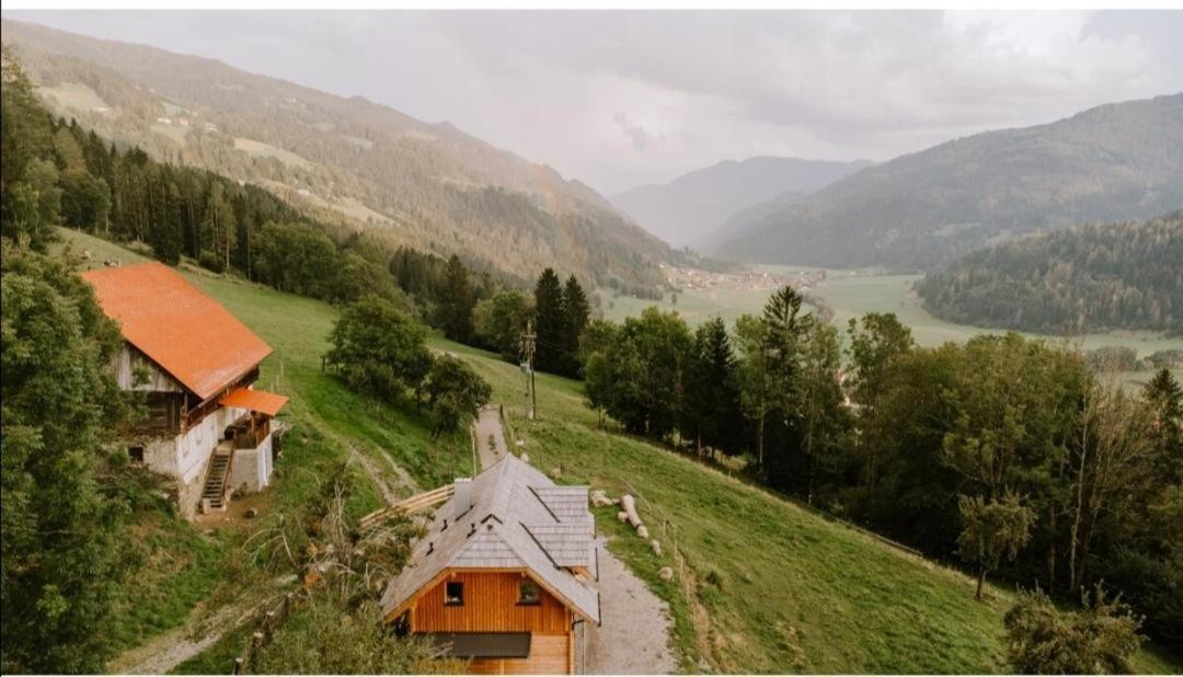 Sankt Peter am Kammersberg Laerchenhaus ,,Unterer Brodl" 빌라 외부 사진