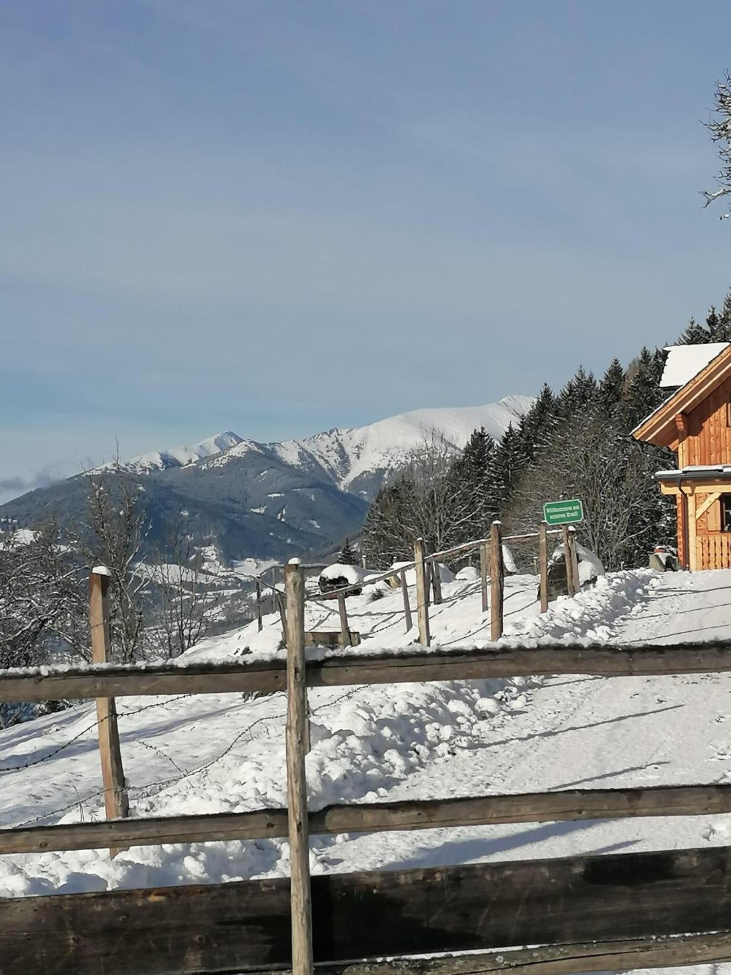 Sankt Peter am Kammersberg Laerchenhaus ,,Unterer Brodl" 빌라 외부 사진